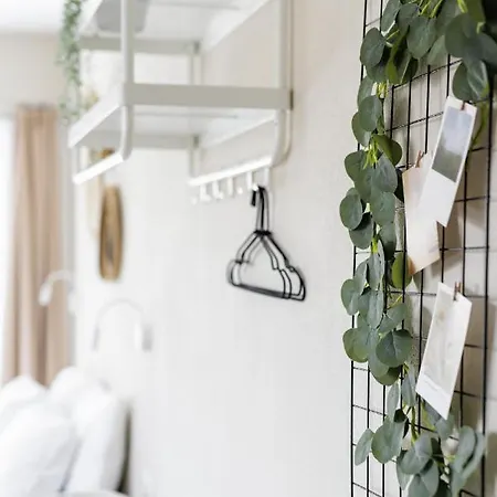 Apartment Boho